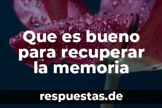 Qué es el movimiento 132 8 Que es bueno para recuperar la memoria