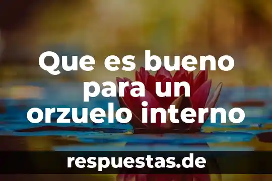 Que es el conocimiento interno 6 Que es bueno para un orzuelo interno