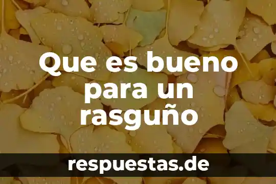 Que es ser bueno y malo pptx 8 Que es bueno para un rasguño