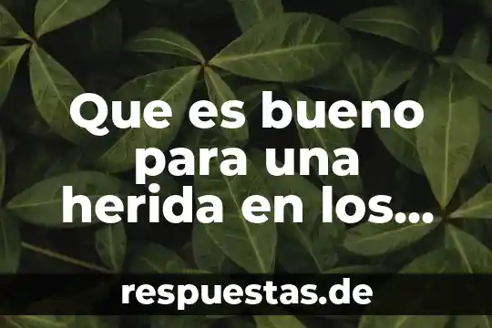 Aftas en los labios insuficiencia de que es 4 Que es bueno para una herida en los labios vaginales