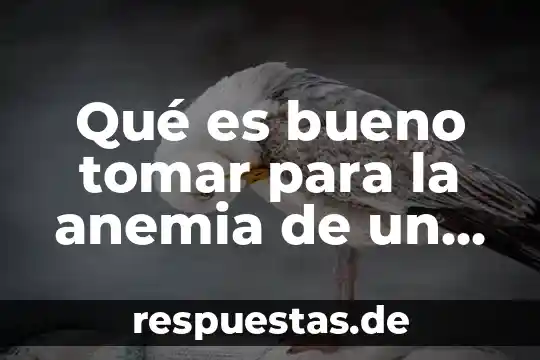 Qué es un sistema abierto y cerrado biología 4 Qué es bueno tomar para la anemia de un diabético
