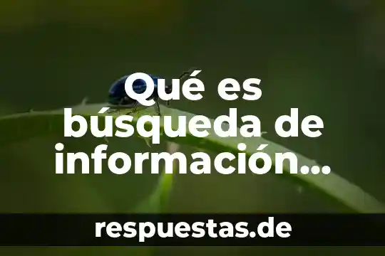 Qué es búsqueda de información concepto