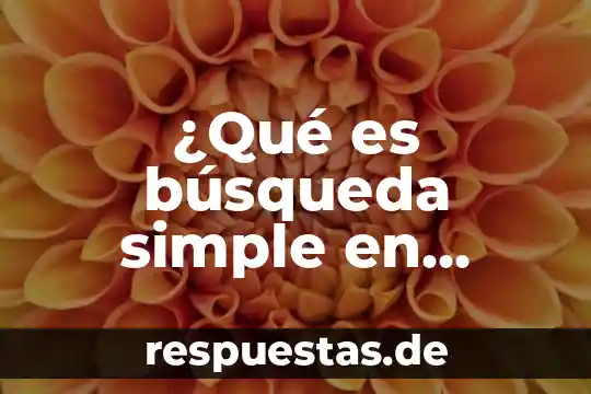 ¿Qué es búsqueda simple en Google y ejemplo?