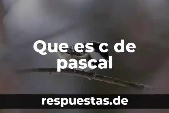 Que es el programa dove animate 8 Que es c de pascal