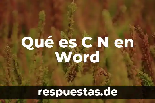 Qué es C N en Word