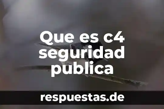 Que es empresa publica y sus fines 4 Que es c4 seguridad publica