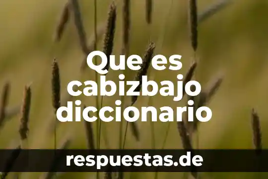 Que es la identidad diccionario 5 Que es cabizbajo diccionario