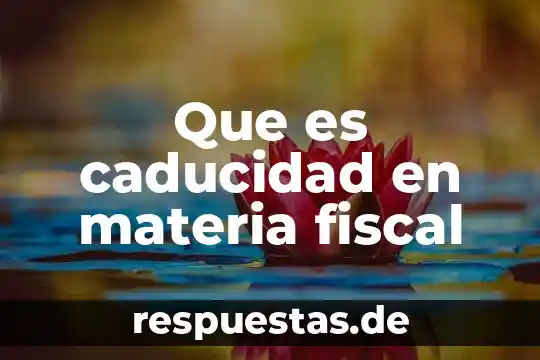 Qué es una feria ambiental 4 Que es caducidad en materia fiscal