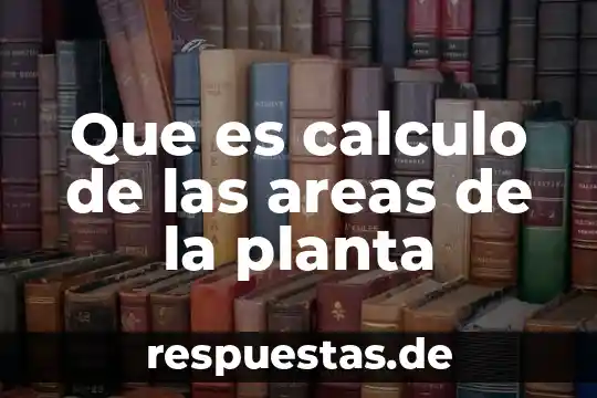 Que es una planta fisica 6 Que es calculo de las areas de la planta