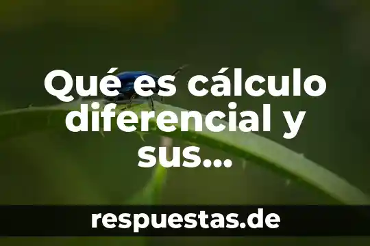 Que es movimiento en calculo diferencial 3 Qué es cálculo diferencial y sus componentes