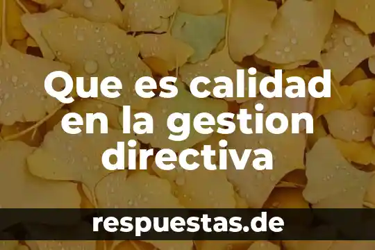 Que es calidad en la gestion directiva