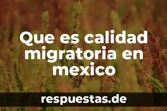 Que es herencia cultural de mexico 5 Que es calidad migratoria en mexico