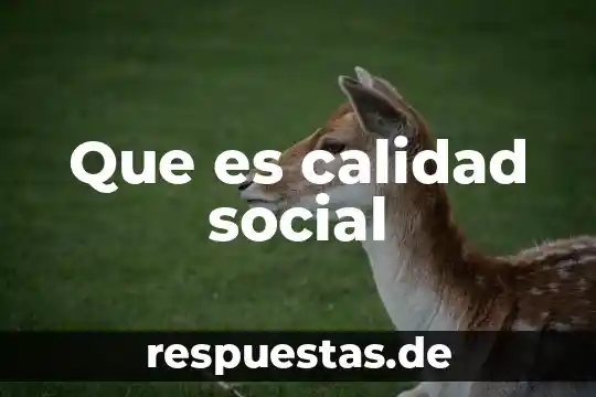 Que es calidad social