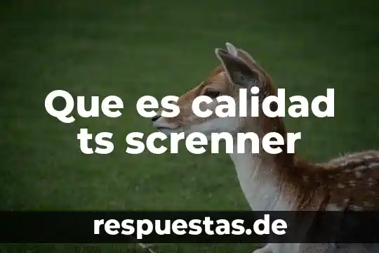 Qué es el nombre de calidad en una etiqueta 8 Que es calidad ts screnner