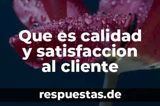Que es calidad y satisfaccion al cliente