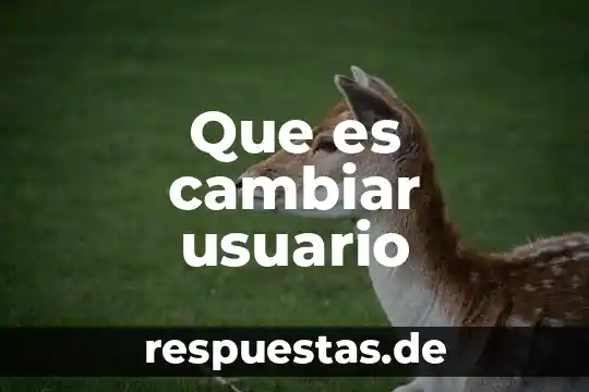 Que es el nombre de usuario del autor 6 Que es cambiar usuario