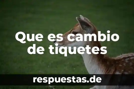 Que es el cambio funcional 5 Que es cambio de tiquetes