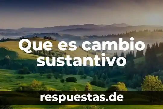Que es cambio sustantivo