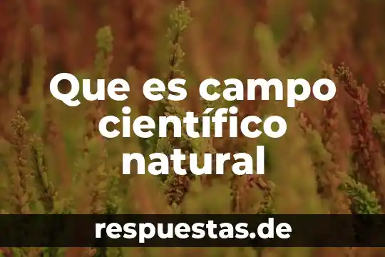 ¿Qué es el racionalismo científico? 8 Que es campo científico natural