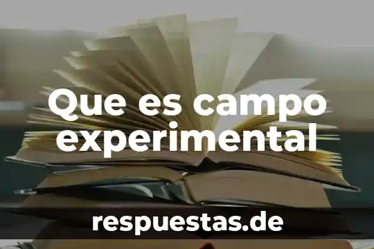 Que es un campo semantico y sus caracteristicas 4 Que es campo experimental
