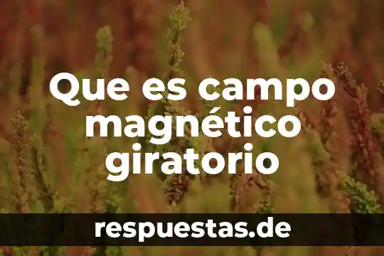 Que es campo magnético giratorio