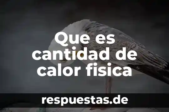 Qué es transferencia de cantidad de movimiento 4 Que es cantidad de calor fisica