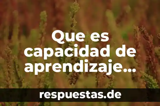 Que es ser emprendedor en mexico 5 Que es capacidad de aprendizaje emprendedor