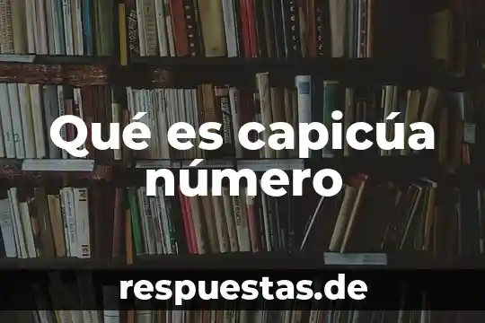 Que es autonomia ejemplo 3 Qué es capicúa número