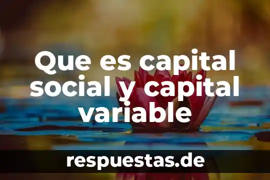 Que es cultura segun la antropología social 3 Que es capital social y capital variable