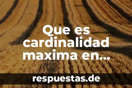 Que es un acervo de datos 4 Que es cardinalidad maxima en base de datos