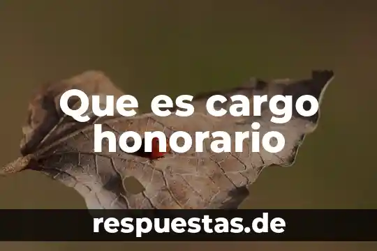Cargo manctat 1118 banamex de que es 5 Que es cargo honorario