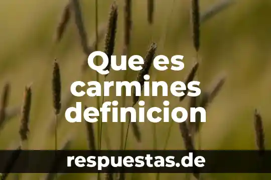 Que es definicion concepto y significado colera 6 Que es carmines definicion