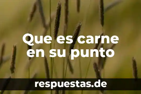 Que es mas comun carne de iguana o de vibora 8 Que es carne en su punto
