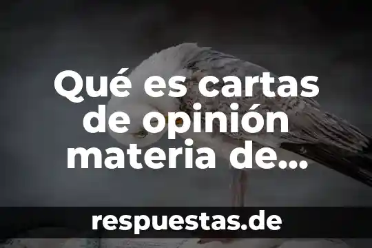 Significado que es moons en español 3 Qué es cartas de opinión materia de español