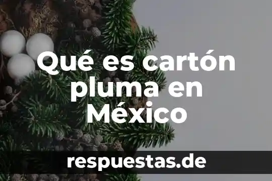 Gestión de la calidad definición que es el mpe 6 Qué es cartón pluma en México