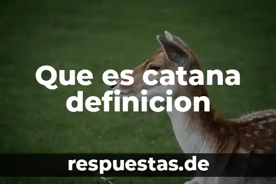 Qué es alcantarillado definición 6 Que es catana definicion