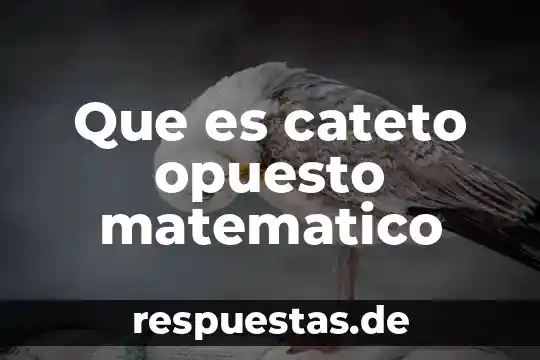 Que es filosofia y poder 8 Que es cateto opuesto matematico