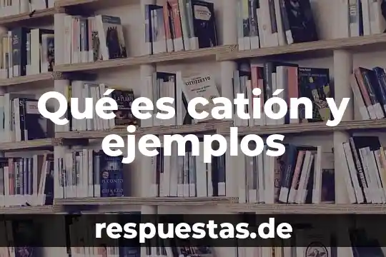 Que es una sociedad ejemplos 5 Qué es catión y ejemplos