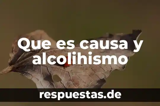 Que es reglamentos mexico 4 Que es causa y alcolihismo