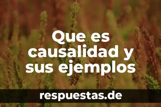 Que es causalidad y sus ejemplos