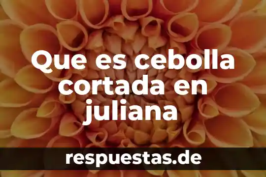 Que es intrumento musical maraca 5 Que es cebolla cortada en juliana