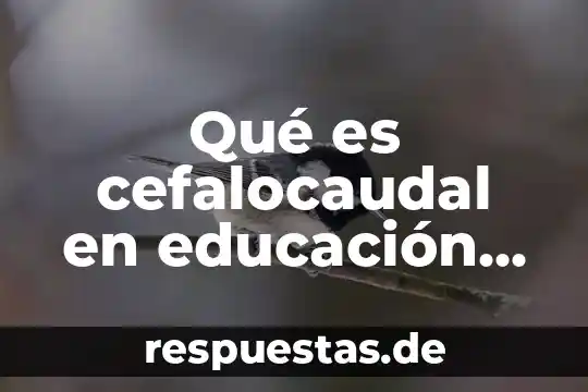 Que es un elemento compuesto atomo en fisica 5 Qué es cefalocaudal en educación física