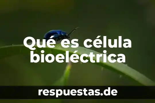 ¿Qué es la célula animal? 8 Qué es célula bioeléctrica
