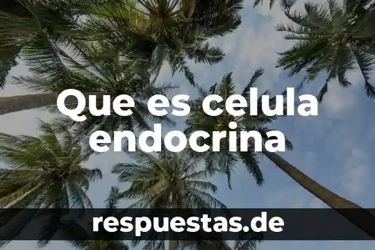 Que es una infografía celula animal vs vegetal 3 Que es celula endocrina