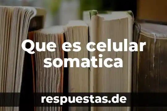 Que es tildar en un celular 8 Que es celular somatica