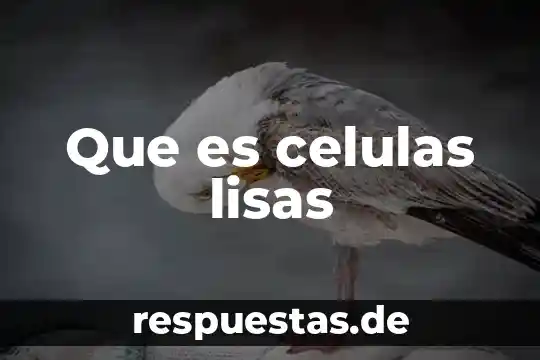 Qué es un animal tritón 8 Que es celulas lisas