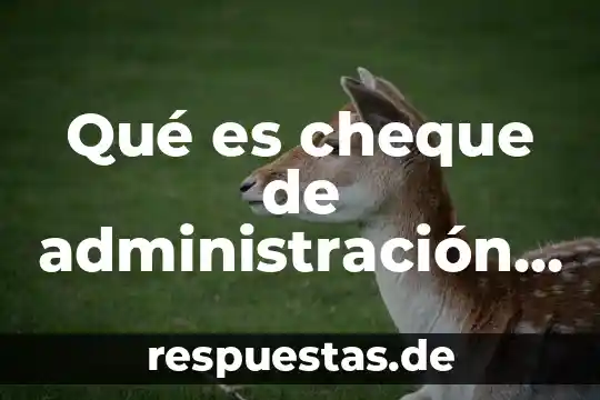 Que es el ente publico en la contabilidad gubernamental 3 Qué es cheque de administración contabilidad