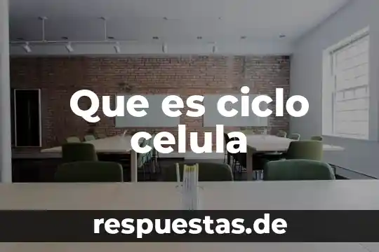 ¿Qué es la célula animal? 4 Que es ciclo celula