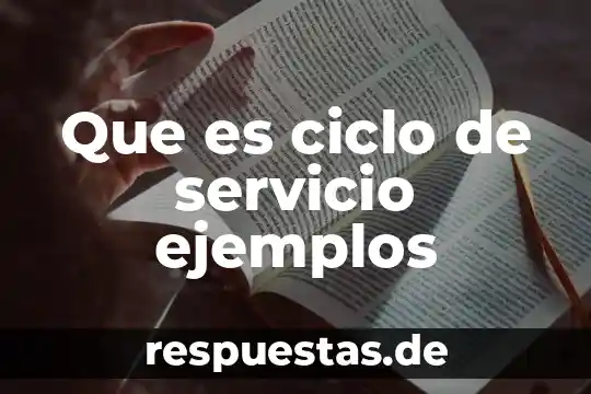 Que es ciclo de servicio ejemplos