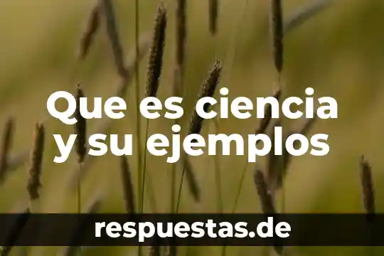 Que es ley de libertad de cultos 3 Que es ciencia y su ejemplos